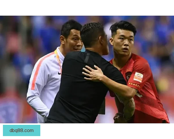 以昨日杯赛四胜三为起点数据变化终于等到核心回归新周期走势清晰